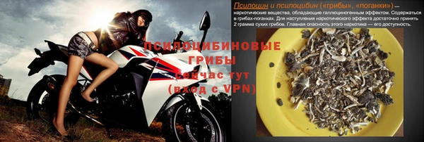 молекула духа Алзамай
