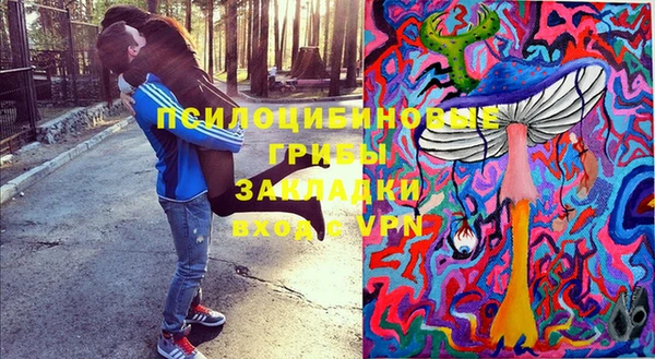 ПСИЛОЦИБИНОВЫЕ ГРИБЫ Алексеевка