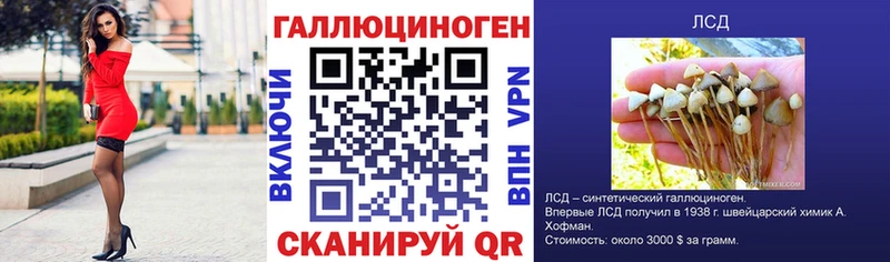 купить наркотик  Павловская  Галлюциногенные грибы MAGIC MUSHROOMS 
